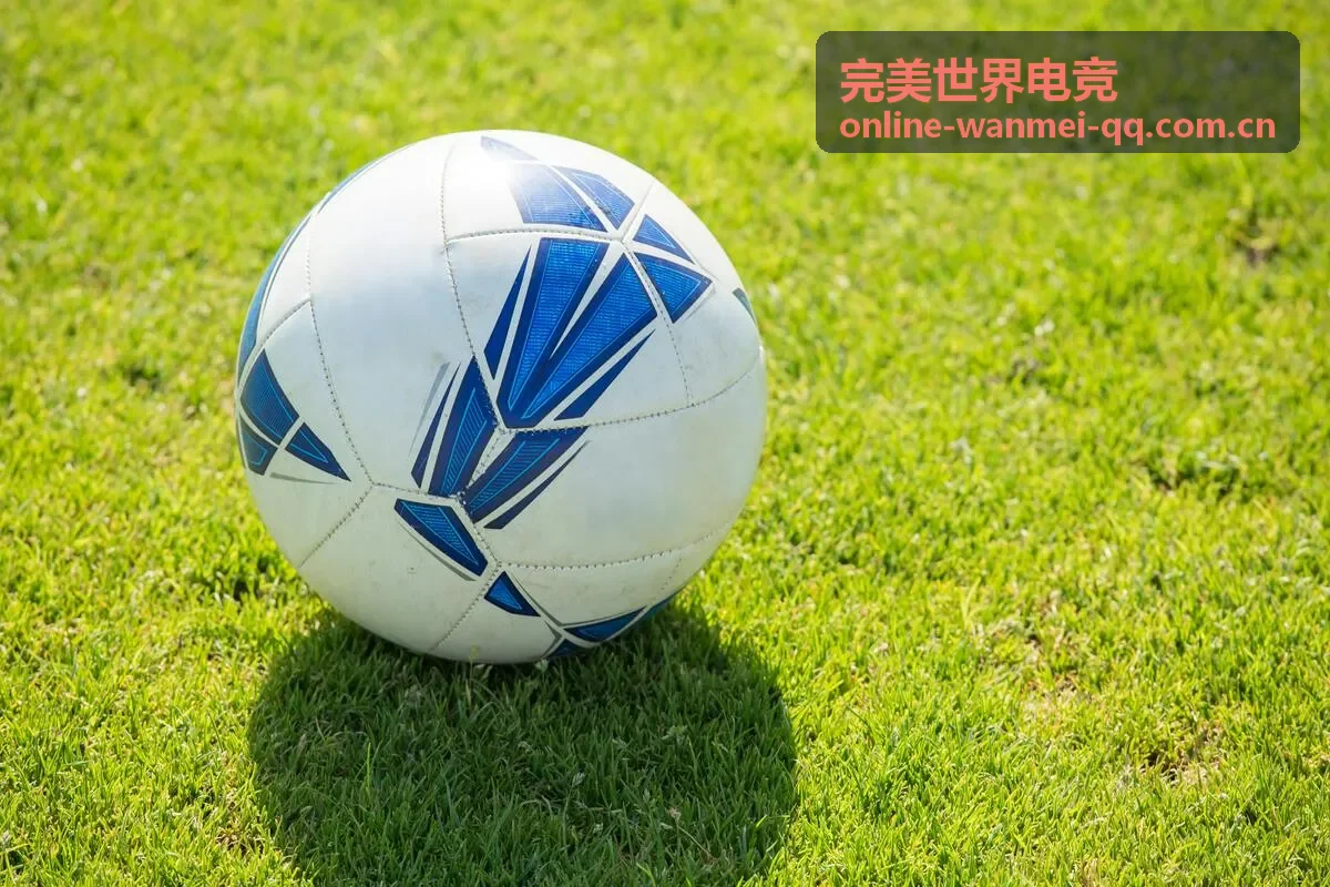 完美世界电竞精彩回放